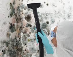 Best Biohazard Mold Removal  in Waterloo, WI